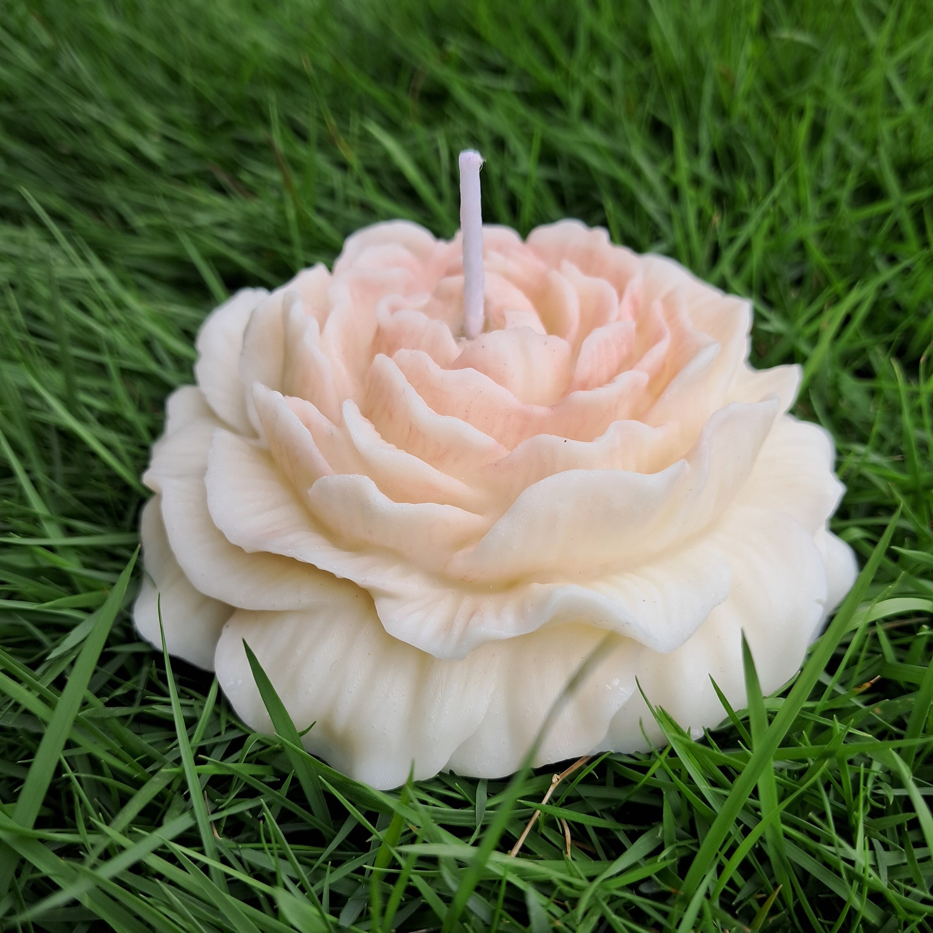 Miroa™ Peony Candle